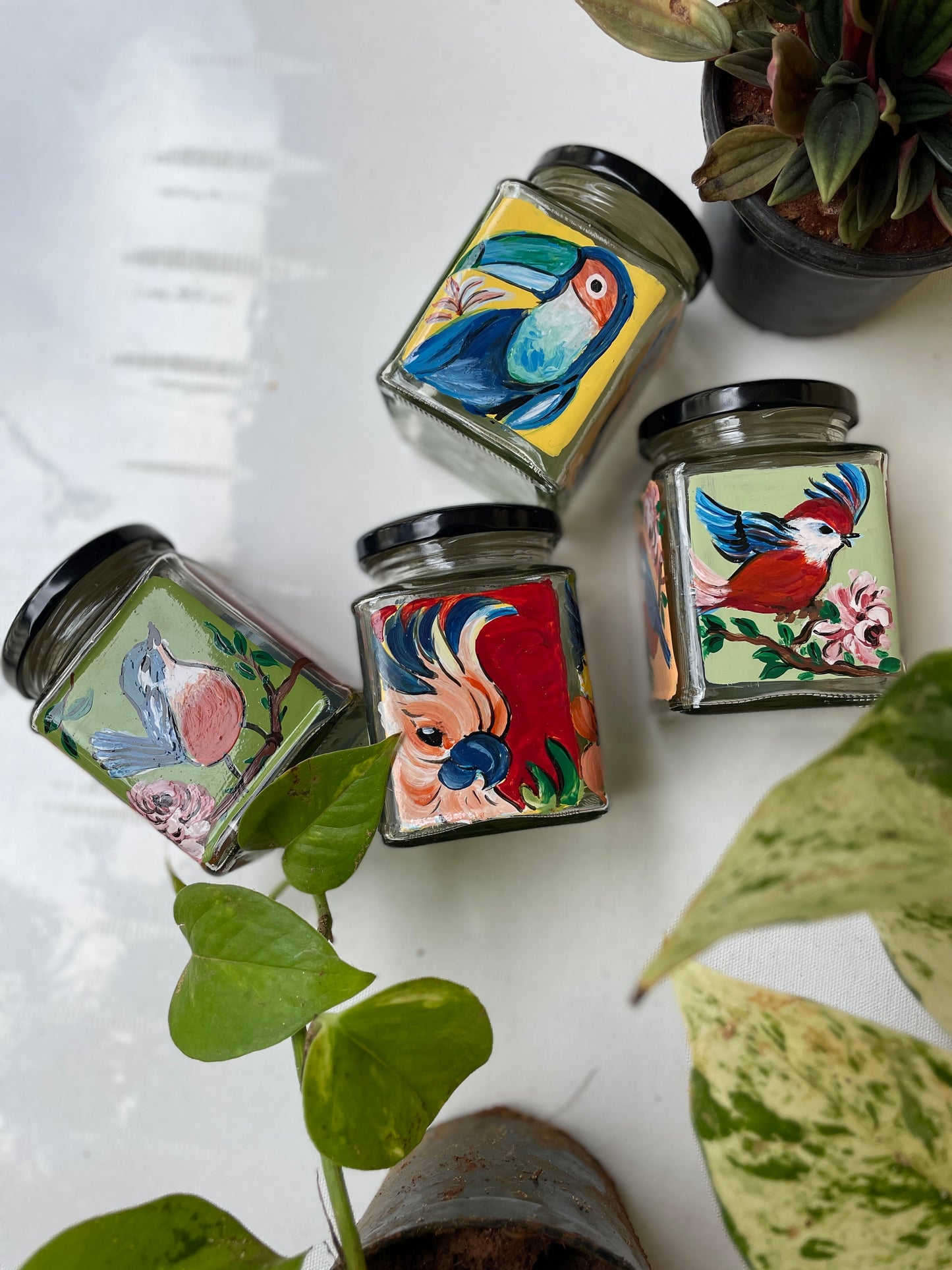 Tropical birdies
