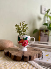 Load image into Gallery viewer, Menaka mini planter
