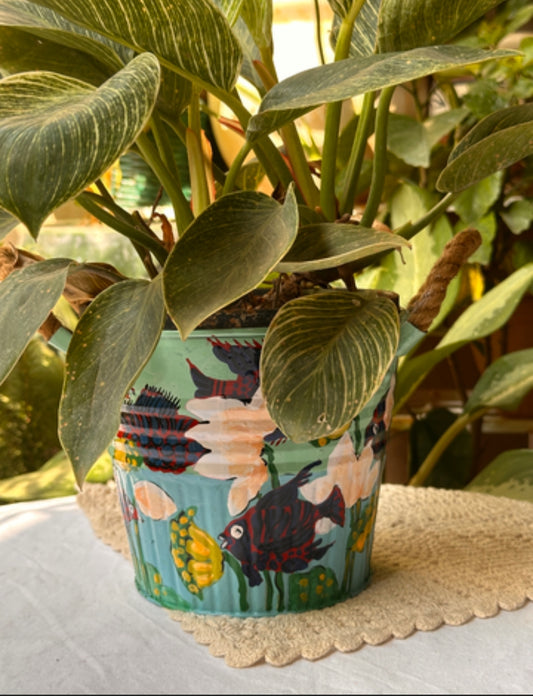 Aqua Magic - Planter