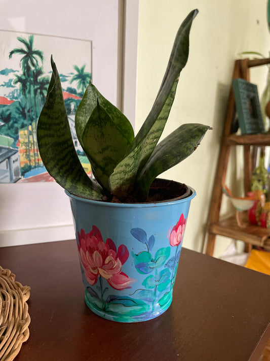 Lotus Pond - Table Planter
